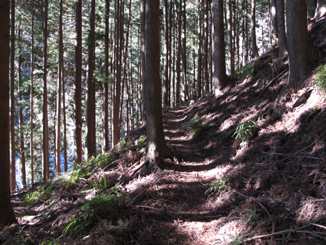 20190121hike (16)
